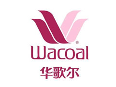 Wacoal(γ)