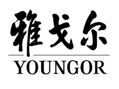 youngor(ɶ)